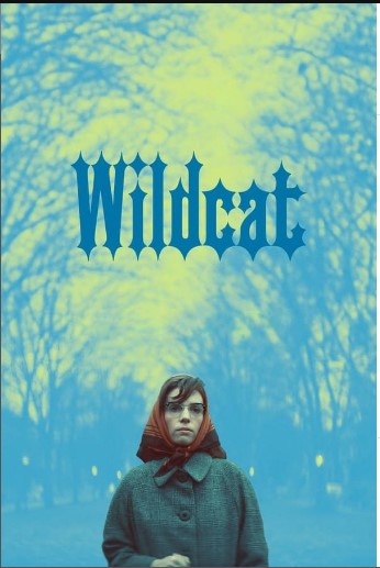 Wildcat 2024